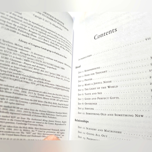 NWT "TOTAL CHRISTMAS MAKEOVER" BY MELISSA SPOELSTRA - Picture 4 of 6